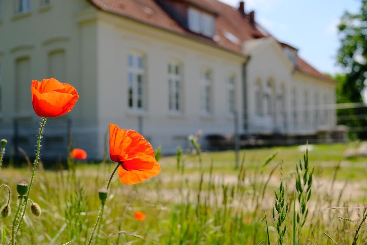 Gutshaus Fewo Luebeck Dassow Екстер'єр фото
